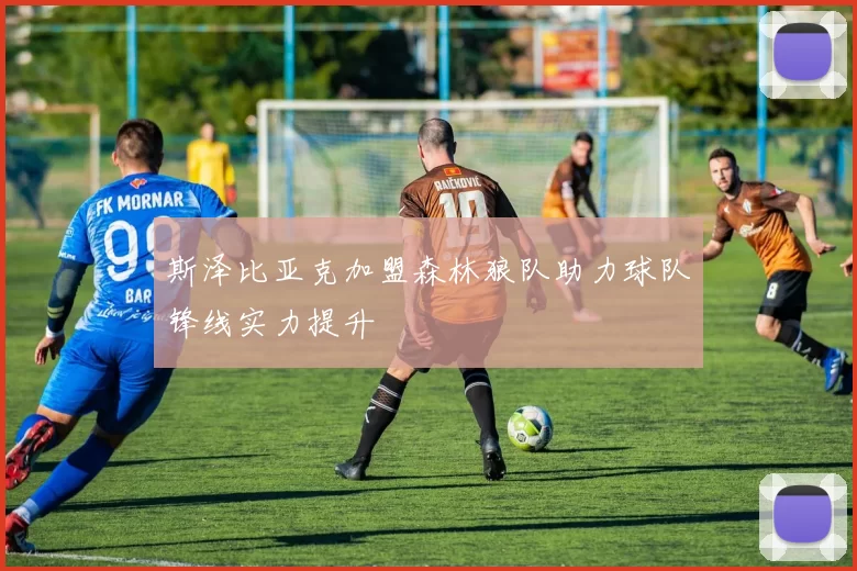 斯泽比亚克加盟森林狼队助力球队锋线实力提升