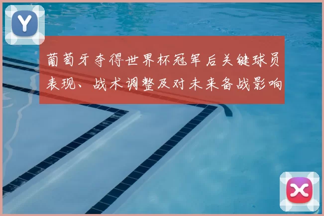 葡萄牙夺得世界杯冠军后关键球员表现、战术调整及对未来备战影响解读
