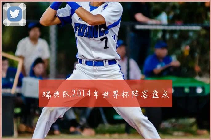 瑞典队2014年世界杯阵容盘点