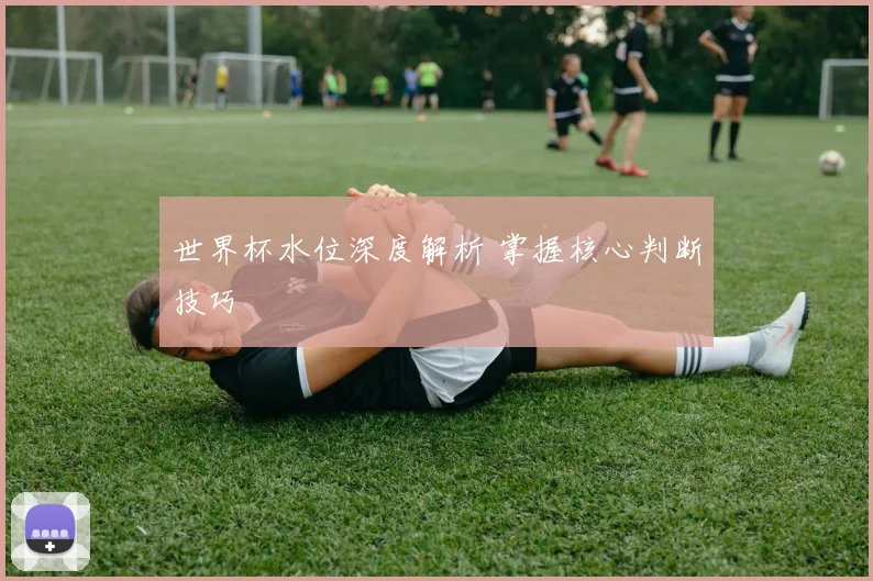 世界杯水位深度解析 掌握核心判断技巧