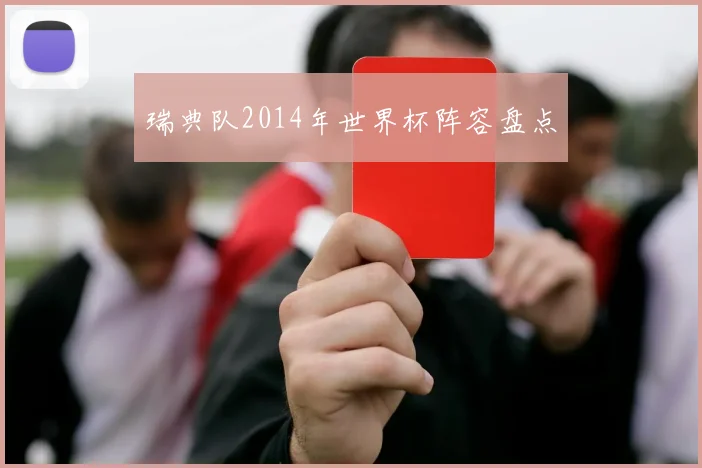 瑞典队2014年世界杯阵容盘点